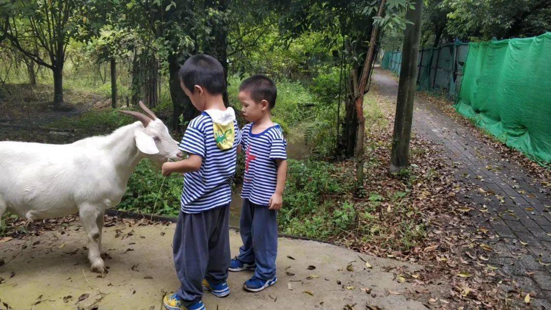 国学园幼儿教师工作内容_国学幼儿园宣传图片_国学幼儿园