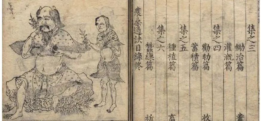 古书_古书价格_徐灵胎古书