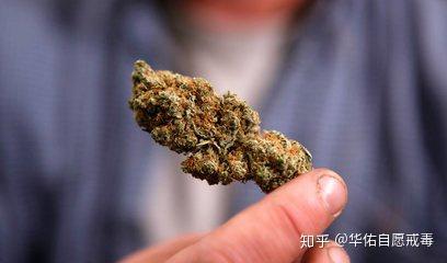 吸毒是全社会的_吸毒是全社会的_吸毒是全社会的