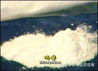 吸毒是全社会的_吸毒是全社会的_吸毒是全社会的