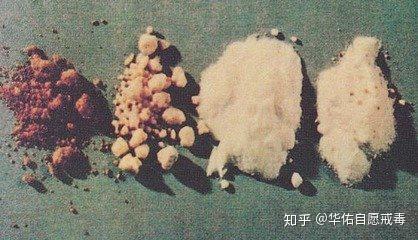 吸毒是全社会的_吸毒是全社会的_吸毒是全社会的