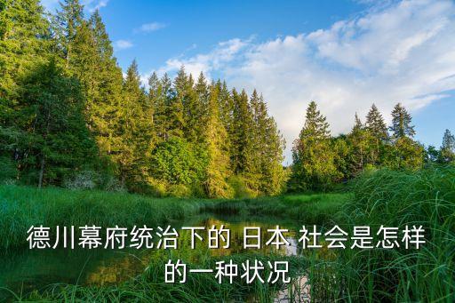 德川幕府统治下的 日本 社会是怎样的一种状况