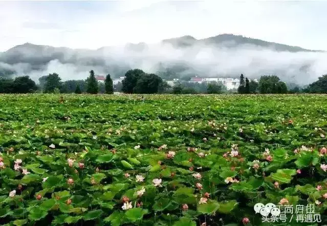 名人历史广丰人是谁_广丰历史名人_广丰名人故事