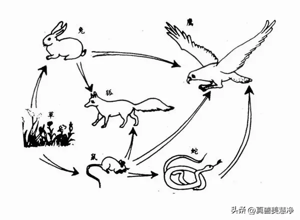 矛盾人类社会是谁提出的_人类社会的矛盾是_人类社会矛盾的基本规律