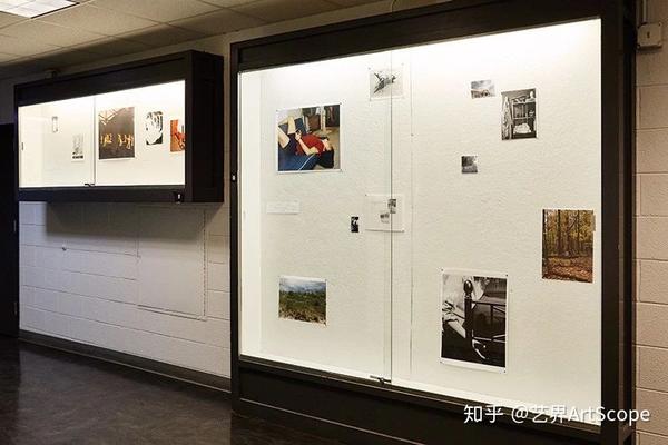学校美国白蛾防控方案_学校美国政治难不难_美国学校