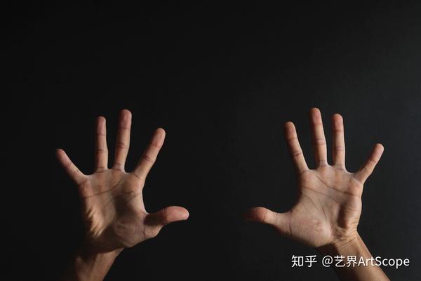 学校美国政治难不难_美国学校_学校美国白蛾防控方案