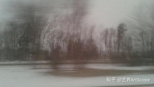 学校美国白蛾防控方案_学校美国政治难不难_美国学校