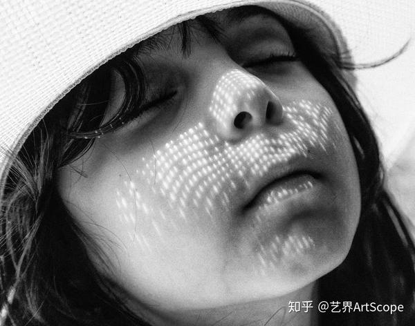 学校美国政治难不难_美国学校_学校美国白蛾防控方案