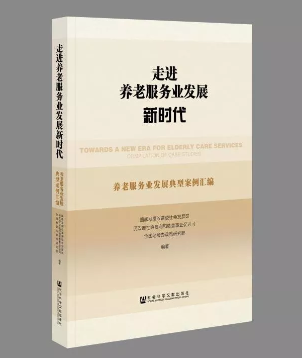 养老社会化服务_社会养老服务体系建设规划_社会养老服务体系