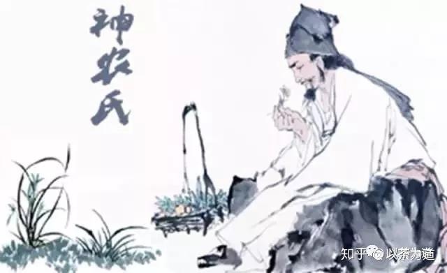 茶叶历史发展史_茶叶历史发展篇_茶叶的发展历史