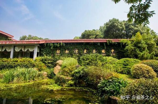 茶叶历史发展篇_茶叶的发展历史_茶叶历史发展史