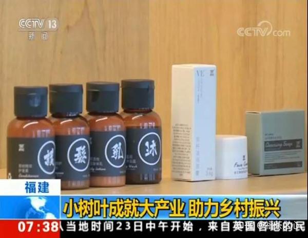 茶叶历史发展史_茶叶历史发展篇_茶叶的发展历史
