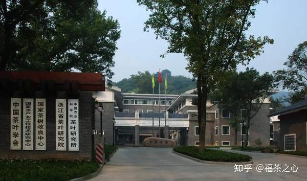 茶叶历史发展史_茶叶历史发展篇_茶叶的发展历史