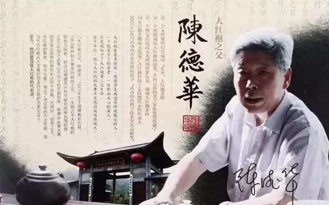 武夷山肉桂品种的发展和历史渊源