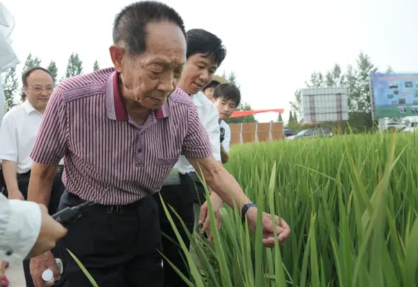 探索山西朔州木塔历史_探索什么_探索梦号邮轮