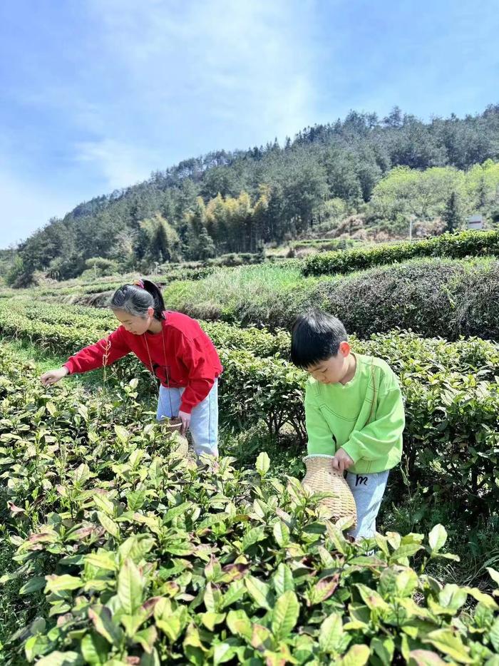 探索之旅_探索之旅_探索之旅