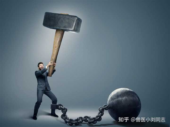 立足社会需要具备什么_立足社会作文_怎样在社会上立足