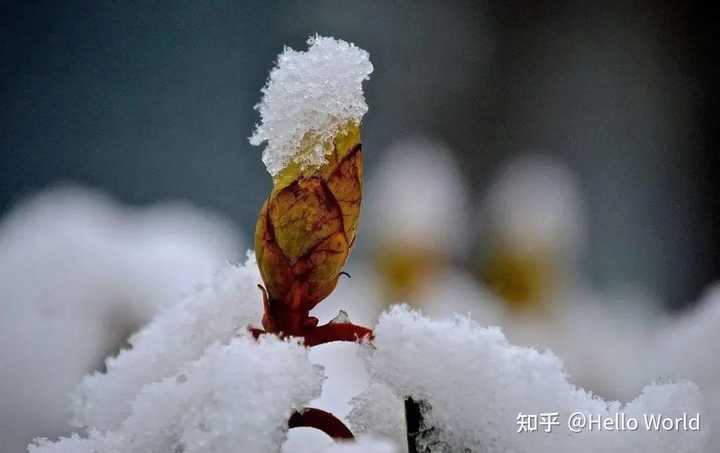 安全生产的社会效益_安全的社会效益_安全生产社会效益指标