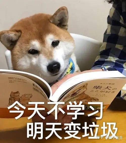 过渡时期的社会性质是什么?_过渡时期的社会性质和主要任务_过渡性质的社会