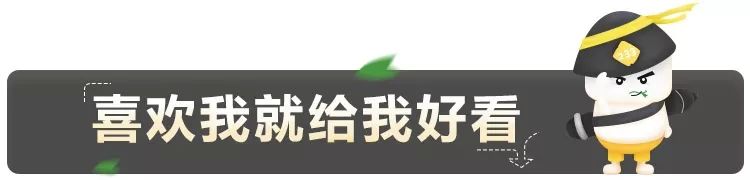 初级综合社会能力工作总结_社会工作综合能力初级_初级综合社会能力工作是什么