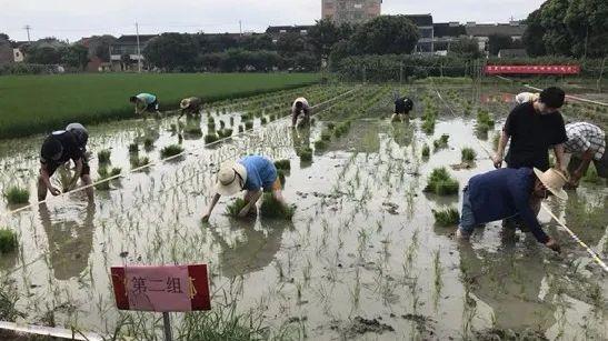 国学经典手抄报_国学经典手抄报内容_国学经典手抄报简单又好看