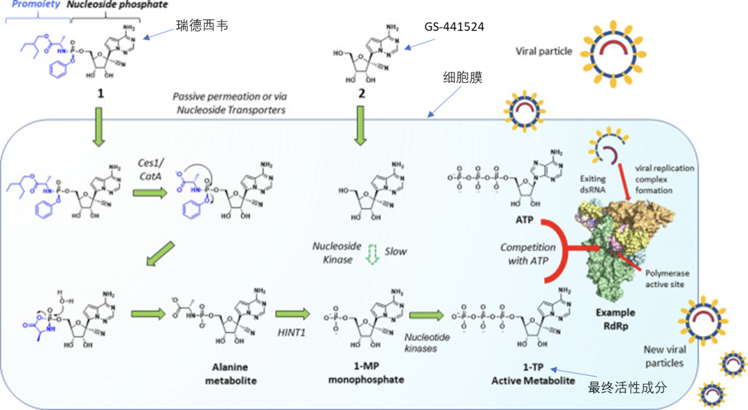 叶斌历史研究_叶斌历史研究_历史研究叶斌简历