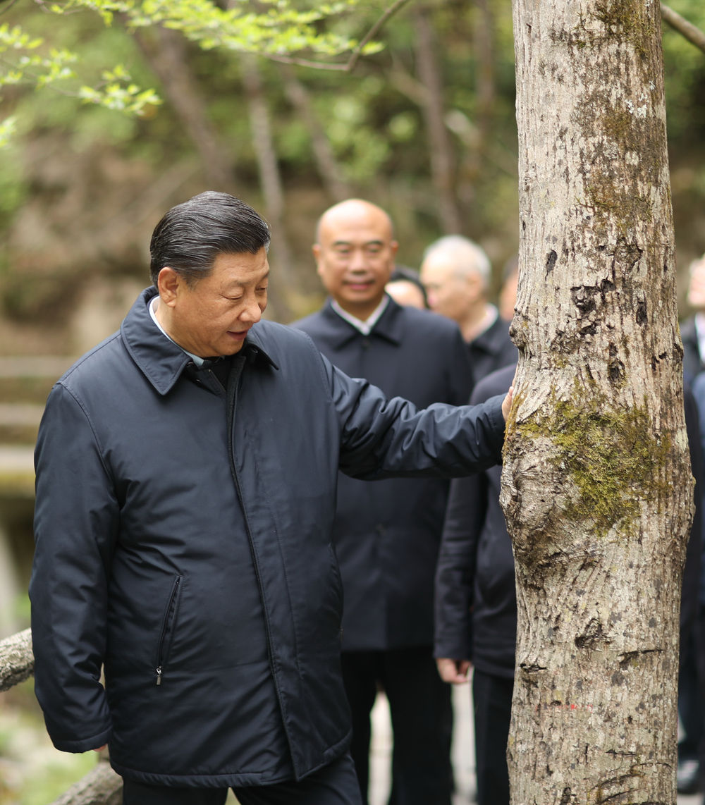 自然探索_探索自然之美作文_探索自然奥秘