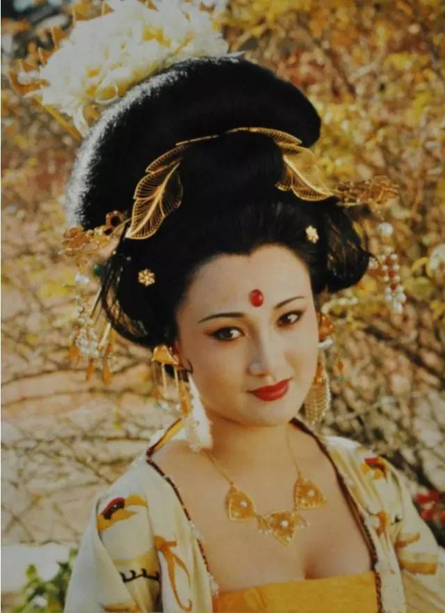 中国野史集成pdf_中国野史集粹_中国野史