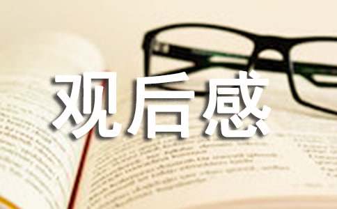 国学小名士观后感作文500字