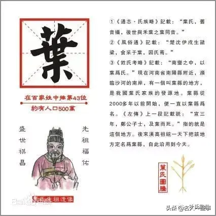 叶姓氏的来源和历史_叶姓来源50_叶姓的来源和历史