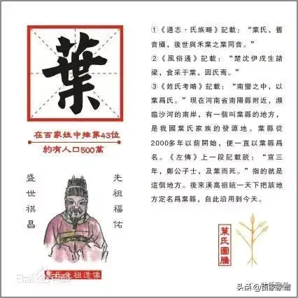 叶姓氏的来源以及家族的发展_叶姓的来源和历史_叶姓来源50