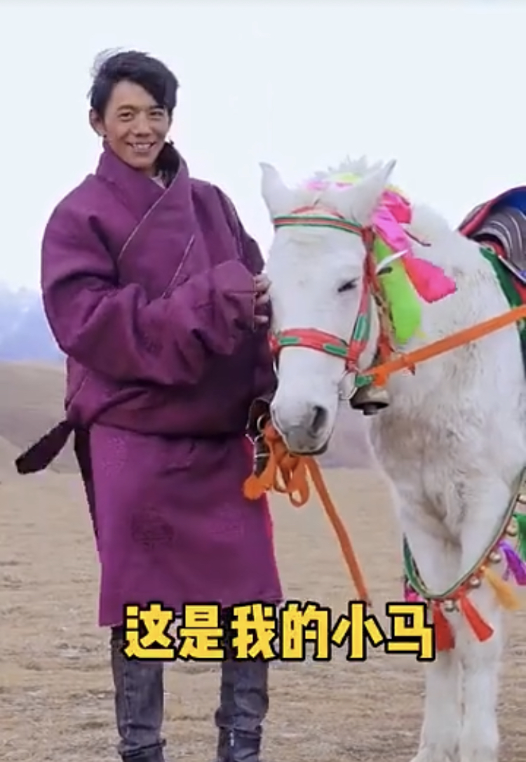 什么把丁真送上热搜？是家乡纯美的风土人情