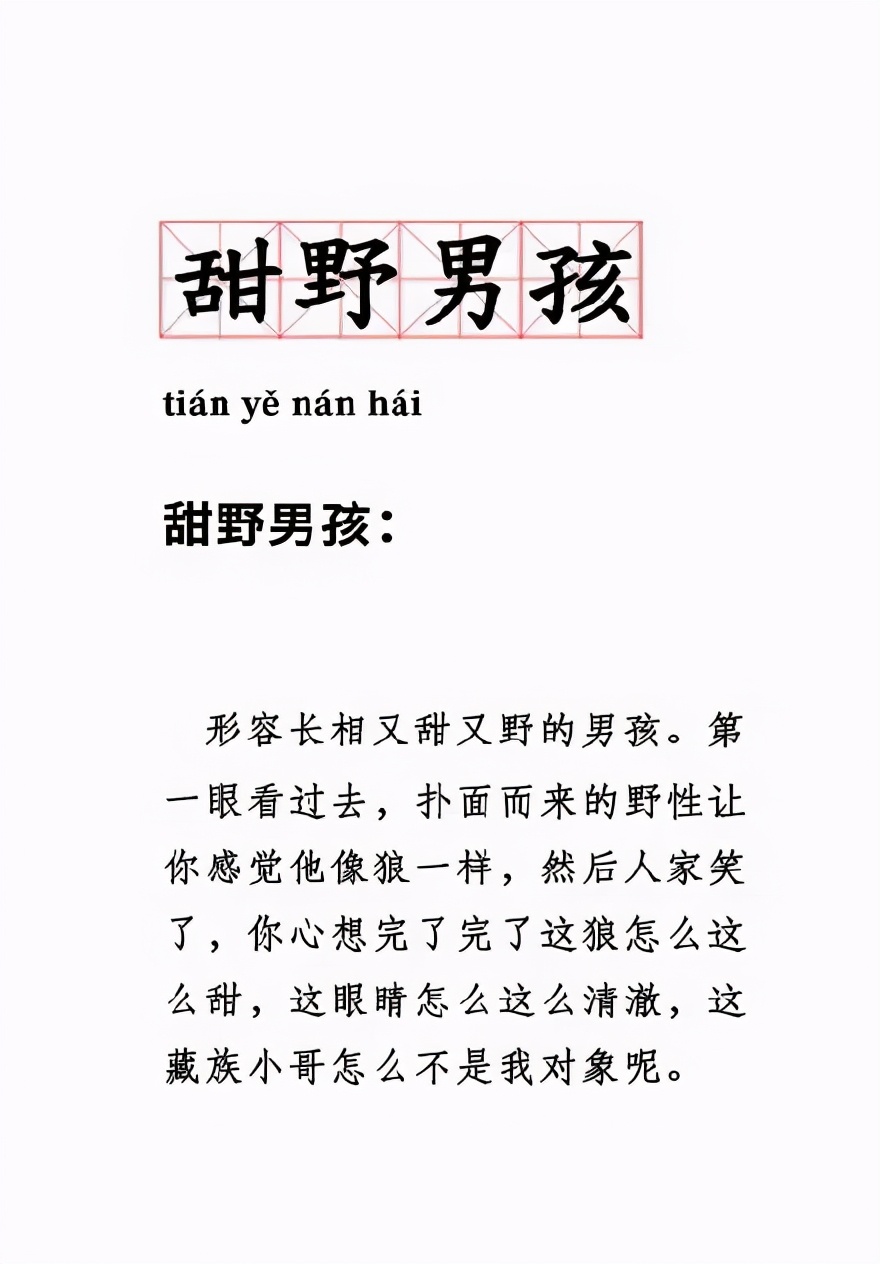“甜野男孩”丁真引发的一场“连续剧”