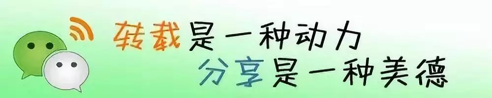 社会保险费包括哪些_保险费社会包括哪些费用_社会保险费的构成包括哪些
