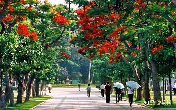 学校中国人寿学生保险怎么理赔_中国学校_学校中国共青团是什么意思