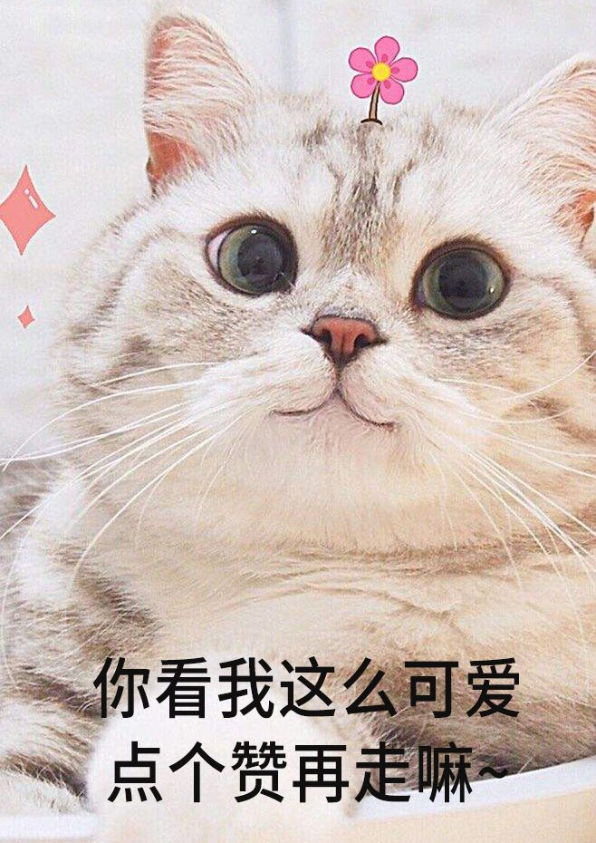 记载历史的书有哪些_记载历史的人叫什么_历史记载