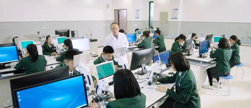 学校中国人寿学生保险_中国学校_学校中国共青团是什么意思