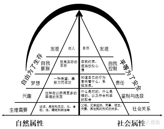 自然人的社会属性_属性自然社会主要人有那些_人的属性主要有自然属性社会属性与什么属性