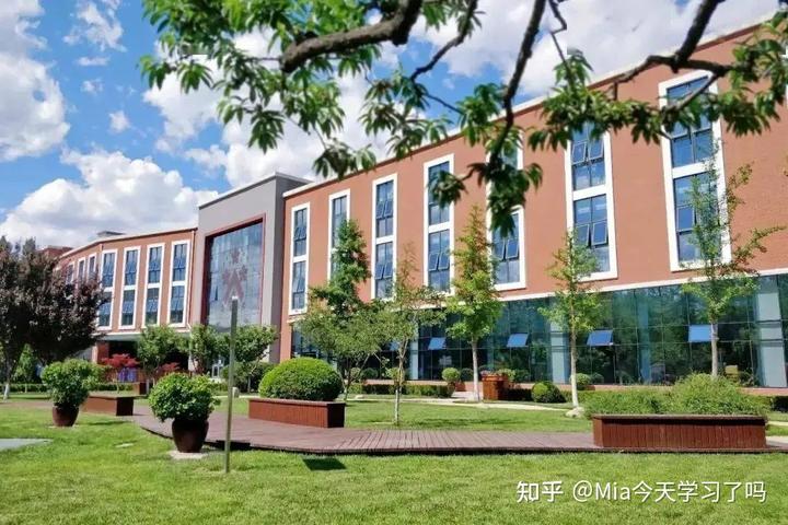 学校中国人寿学生保险_学校中国共青团是什么意思_中国学校