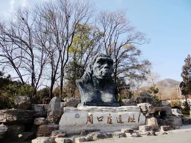 北京人的发现对于研究古人类什么的历史具有_北京古人类发现的重要意义_北京古人类研究所