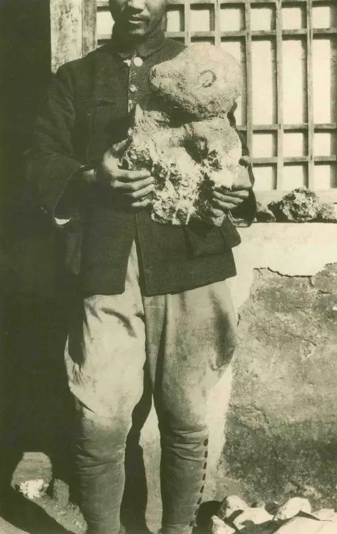 北京古人类发现的重要意义_北京古人类研究所_北京人的发现对于研究古人类什么的历史具有
