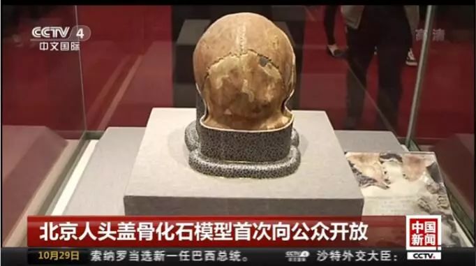 北京古人类研究所_北京古人类发现的重要意义_北京人的发现对于研究古人类什么的历史具有