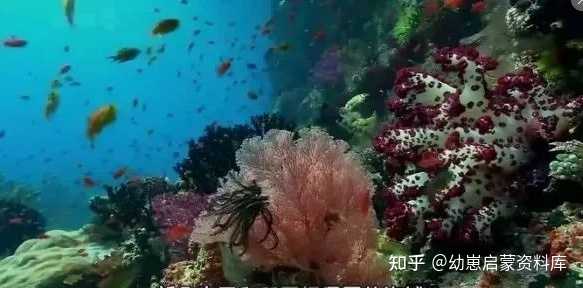 人类探索海洋的历史_地球海洋人类探索了多少_人类探究海洋