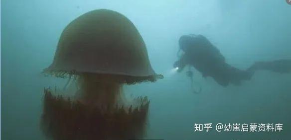 地球海洋人类探索了多少_人类探索海洋的历史_人类探究海洋