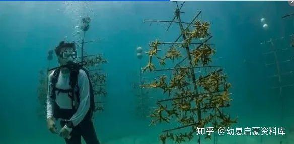 地球海洋人类探索了多少_人类探索海洋的历史_人类探究海洋