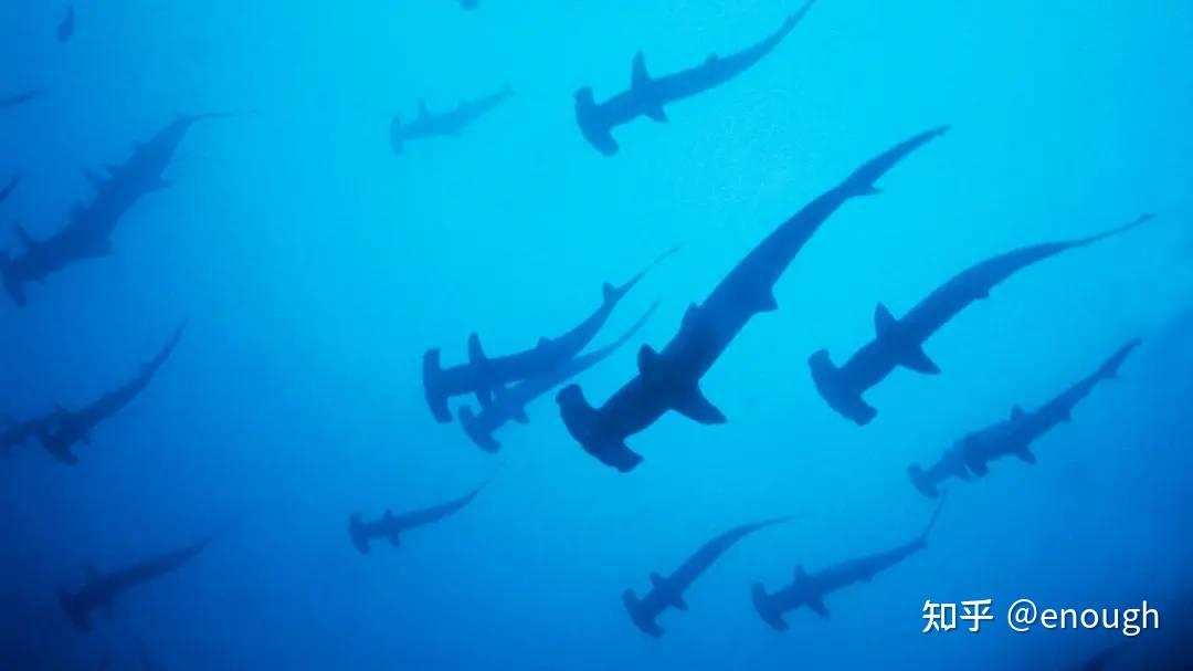 探索海洋的人_人类探索海洋的历史_地球海洋人类探索了多少