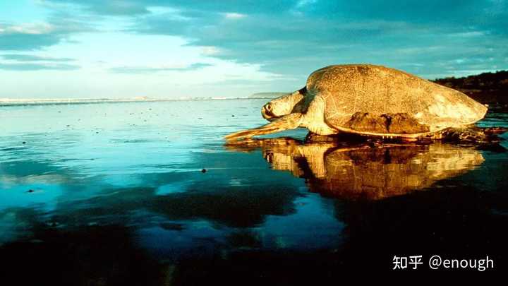 探索海洋的人_地球海洋人类探索了多少_人类探索海洋的历史