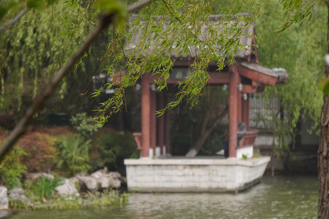 列女传原文及翻译_列女传第七卷孽嬖传人物是谁_列女传