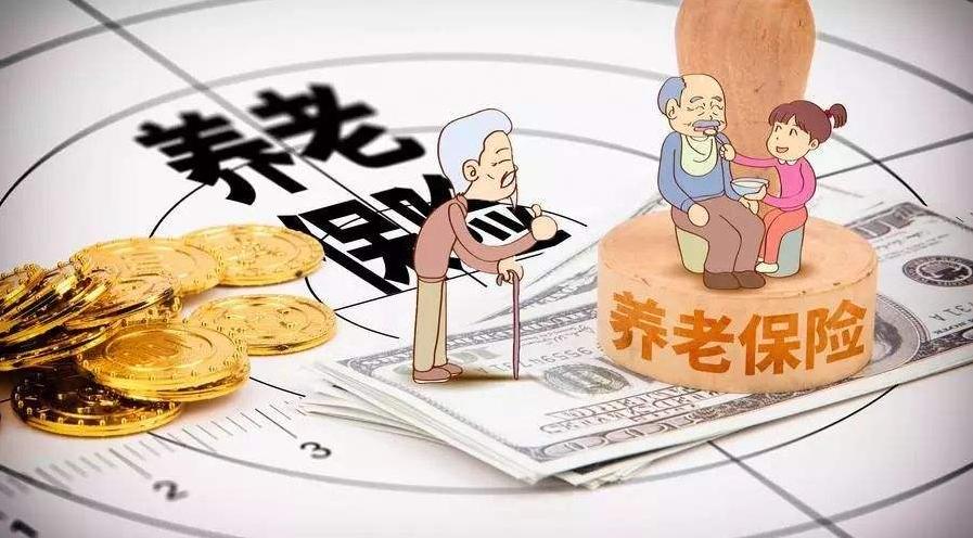 统筹保险_统筹社会保障_社会统筹保险