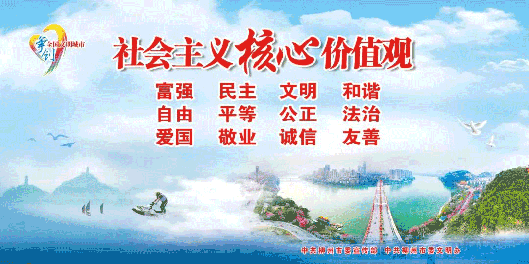 柳州市社会资源和人力保障局_柳州市人力资源和社会保障局_柳州人力与社会保障局